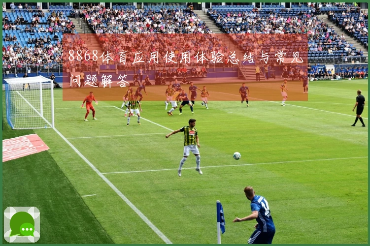 8868体育应用使用体验总结与常见问题解答