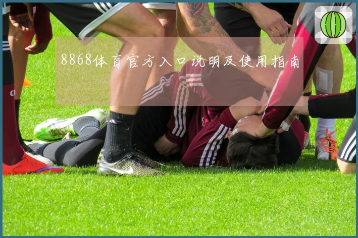 8868体育官方入口说明及使用指南