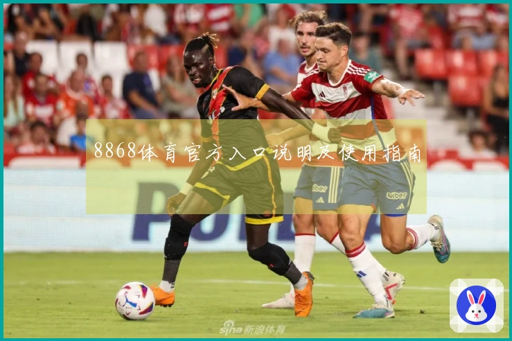 8868体育官方入口说明及使用指南